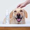 vet-expert-hypoallergenic-shampoo-hipoalergiczny-szampon-dla-psow-i-kotow (2).jpg