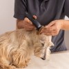 580100_wahl_prima_trimmer_schermaschine_inkl_0_4mm_schneidsatz_1000x1000_hs_04_8.jpg