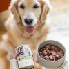 raw-paleo-adult-dog-deer-400g-mokra-karma-dla-psow-doroslych-monoproteina-z-miesem-jelenia.webp