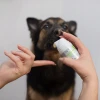Vet Expert Caryodent Enzymatic enzymatyczna pasta do zębów dla psów i kotów