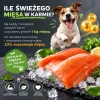 Dog Control karma łosoś