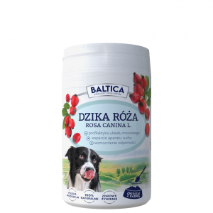 Dzika róża dla psa I kota